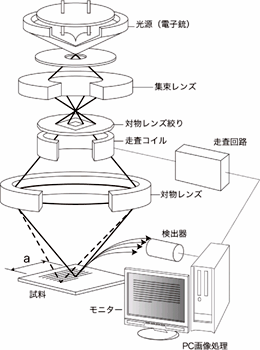 走査電子顕微鏡の原理図