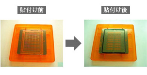 貼付け前　貼付け後