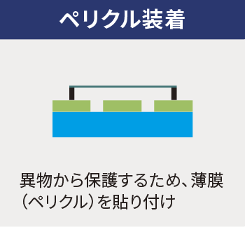 ペリクル装着
