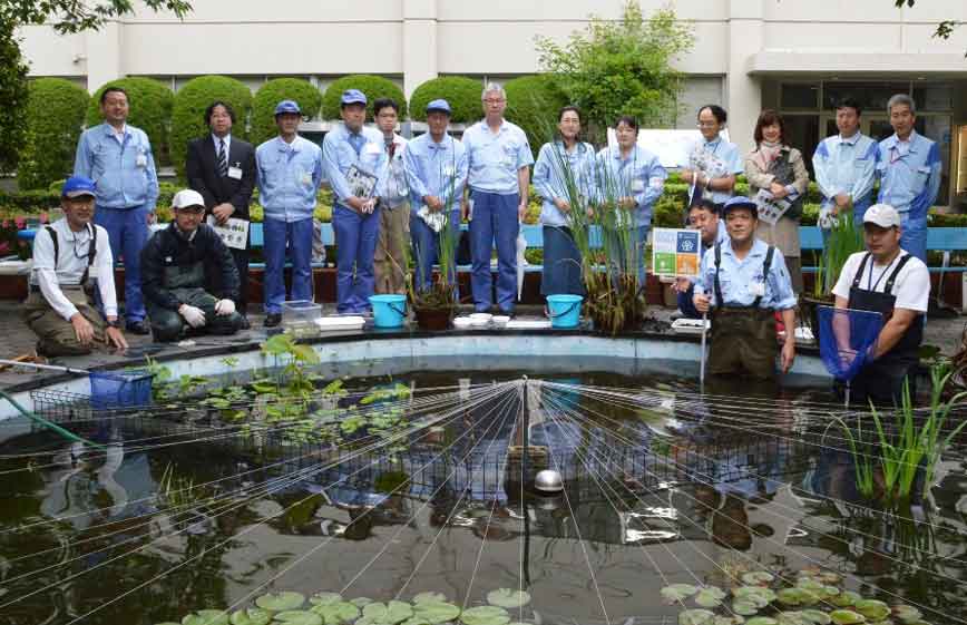 NPO法人・東芝・DTFにて、事業所内池の生物調査を実施